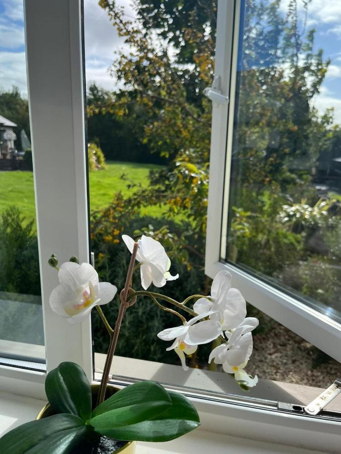 Butterfly Guesthouse - Entire Home Within 5Km Of Galway City Экстерьер фото