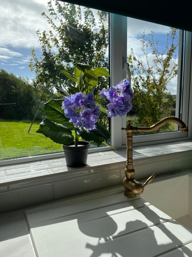 Butterfly Guesthouse - Entire Home Within 5Km Of Galway City Экстерьер фото